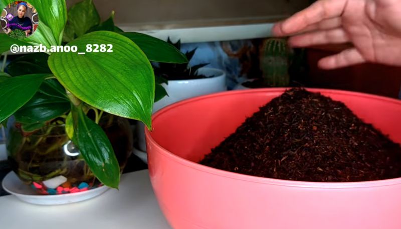 ترفند ترکیب چای اقتصادی و خوش رنگ برای یک سال با هزینه نیم کیلو چای