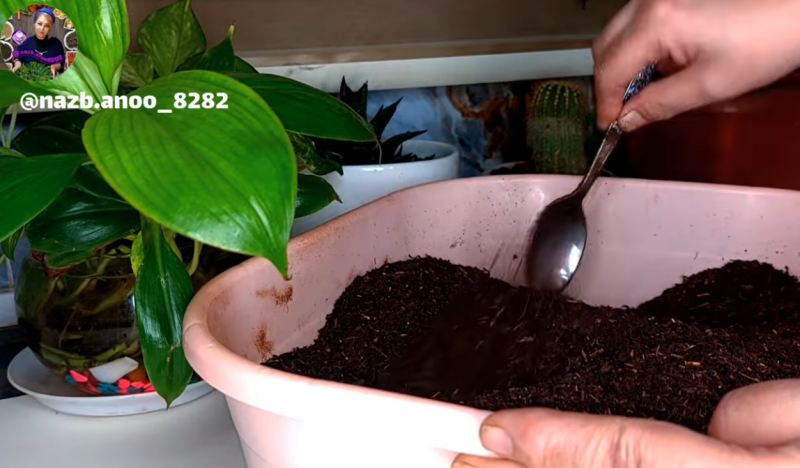 ترفند ترکیب چای اقتصادی و خوش رنگ برای یک سال با هزینه نیم کیلو چای