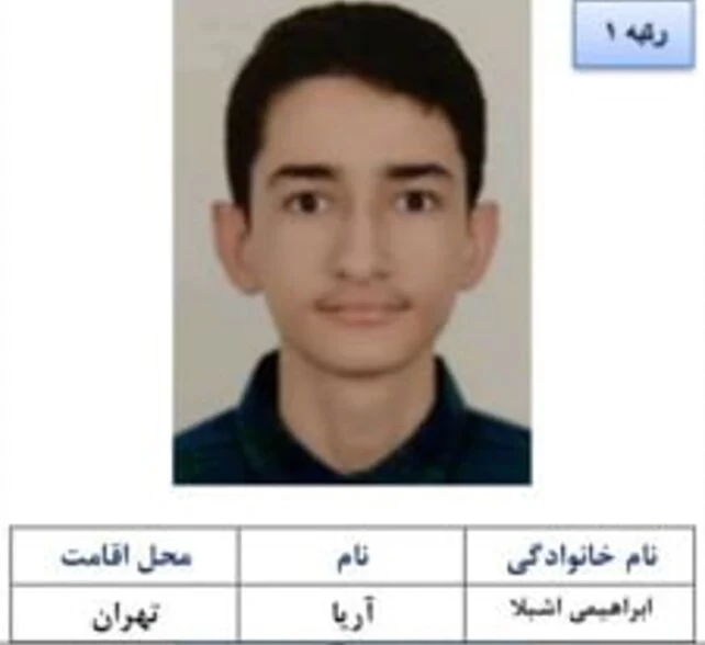 بیوگرافی آریا ابراهیمی، رتبه اول کنکور ریاضی ۱۴۰۴ و راز موفقیت او