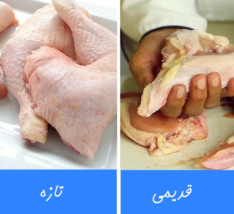 مرغ چند کیلویی بخریم ؟ ( +راه های تشخیص مرغ تازه )