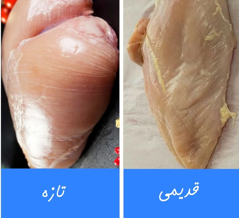 مرغ چند کیلویی بخریم ؟ ( +راه های تشخیص مرغ تازه )