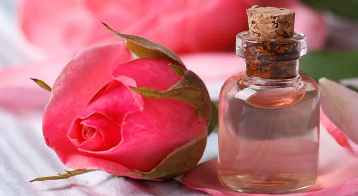 درمان فوری سردرهای عصبی در خانه با چند دمنوش گیاهی