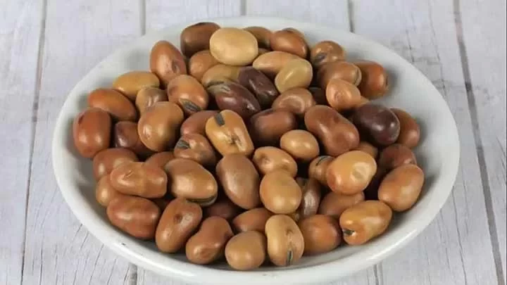 باقالی را چطور خشک کنیم که تازه و خوشرنگ بماند؟ (+روش پخت باقالی خشک)