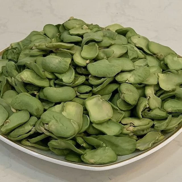 باقالی را چطور خشک کنیم که تازه و خوشرنگ بماند؟ (+روش پخت باقالی خشک)