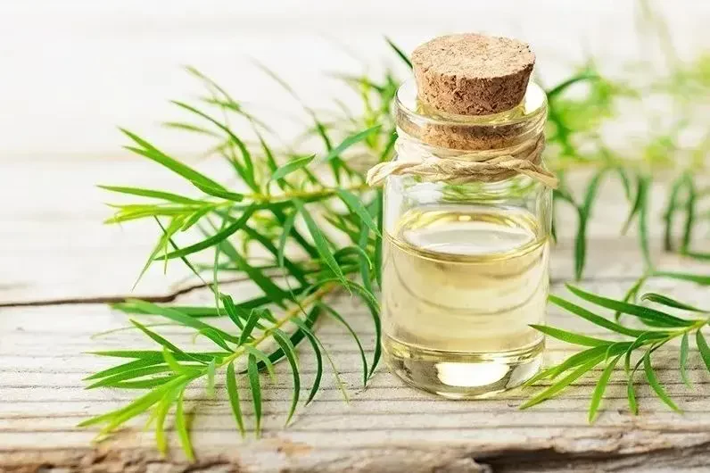 درمان خانگی موهای زیر پوستی به کمک وسایل در دسترس