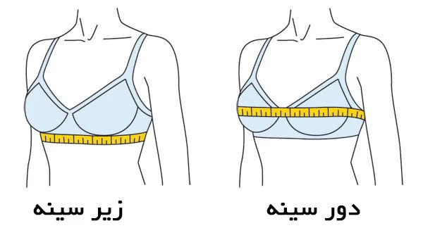 راهنمای اندازه گیری لباس زیر زنانه؛ چند نکته مهم برای انتخاب سایز مناسب