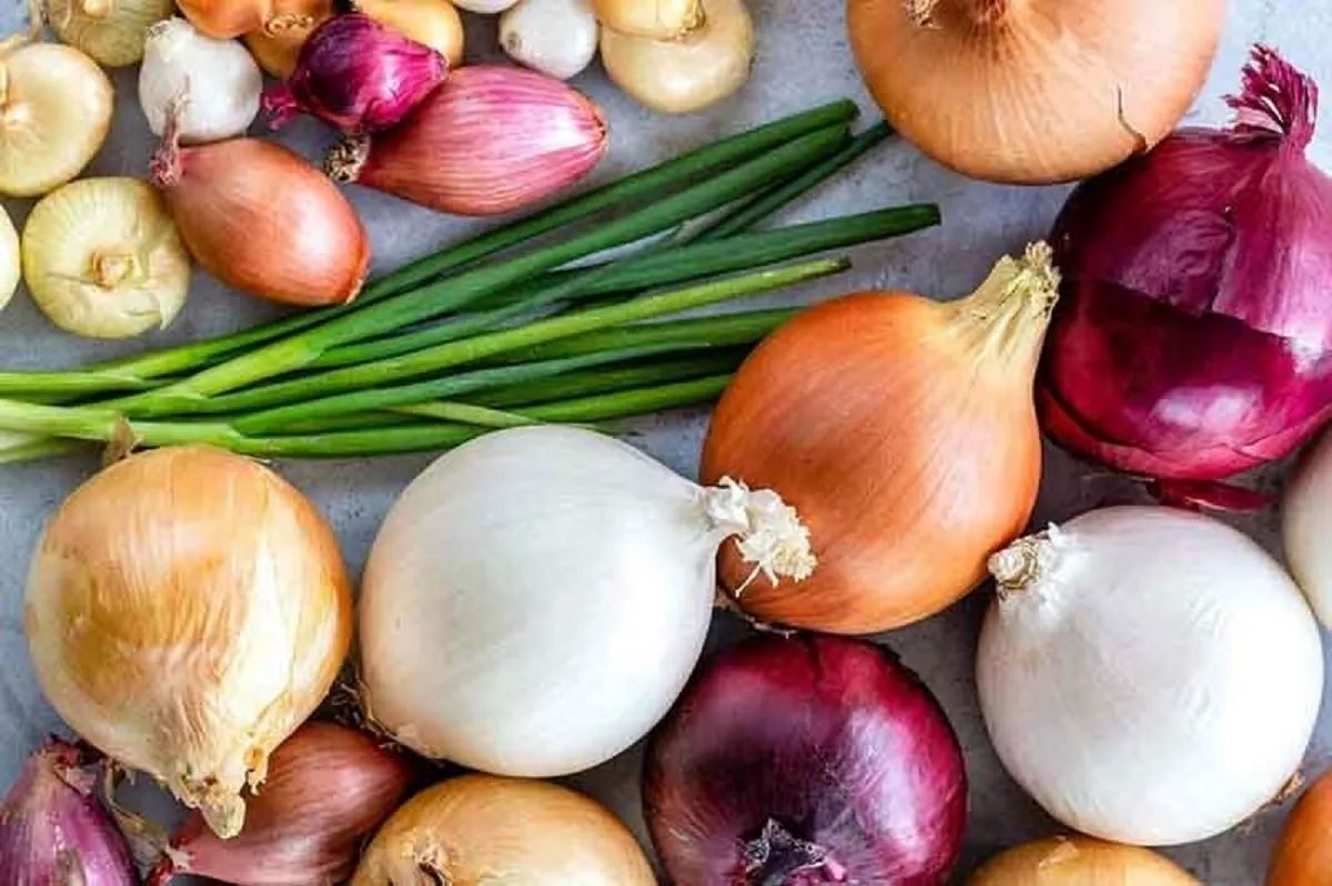 طرز تهیه غذای محبوب شهاب حسینی که همه از آن بیزارند !!