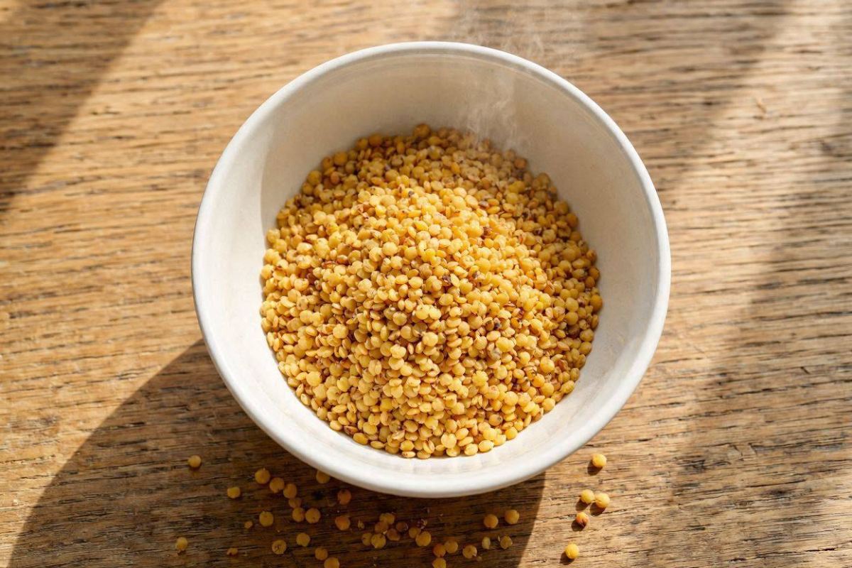 طرز تهیه پودر پروتئین خانگی با ۵ ماده ساده و طبیعی/ جایگزین سالم برای مکمل های گران قیمت