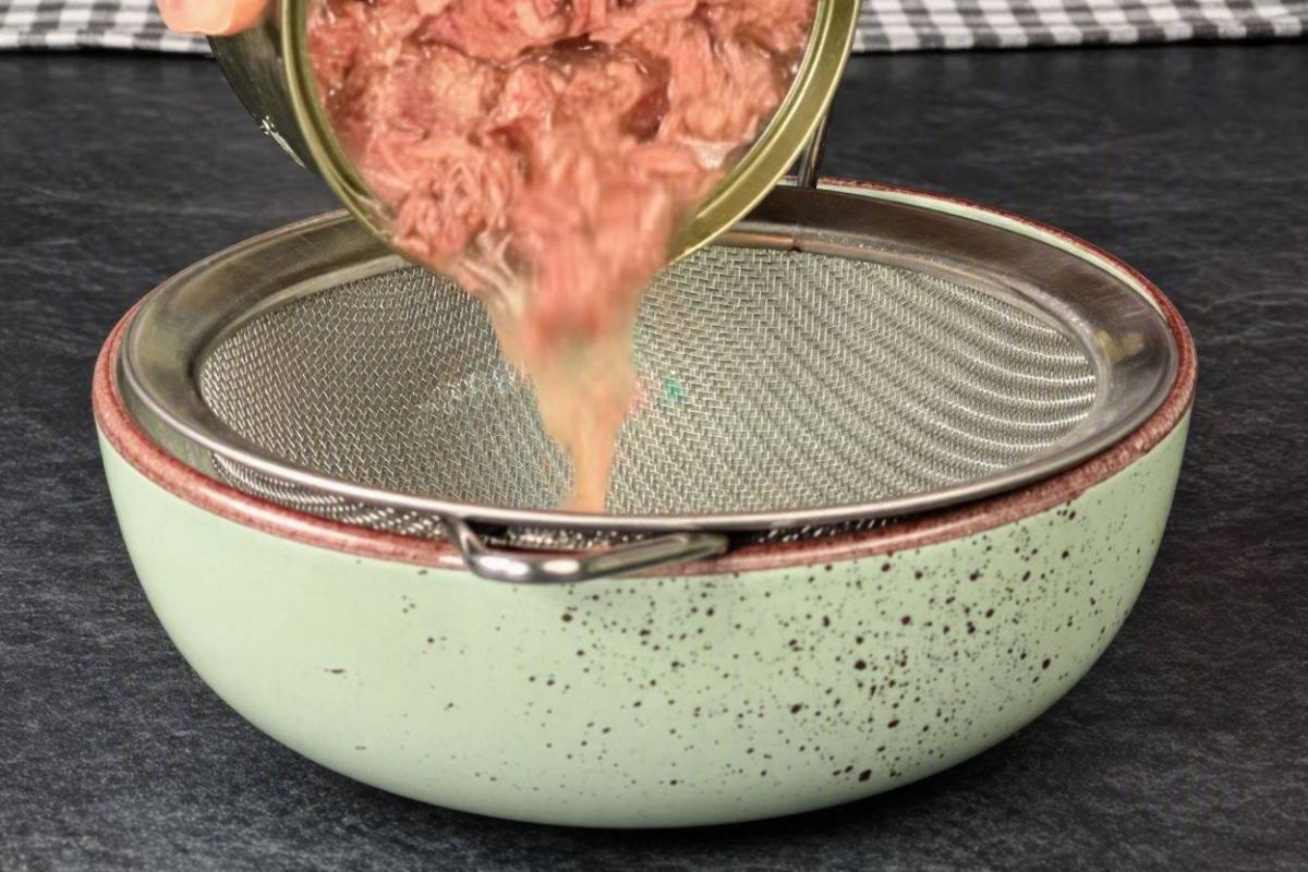 طرز تهیه یک غذای فوری و خوشمزه با نان تست و تن ماهی
