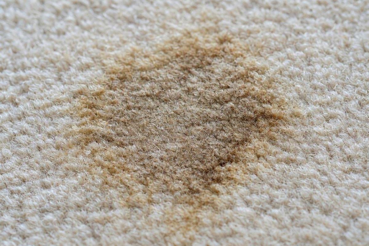 اولین کار بعد از ریختن چای روی فرش چیست؟ نحوه رفع لکه چای روی فرش کرم