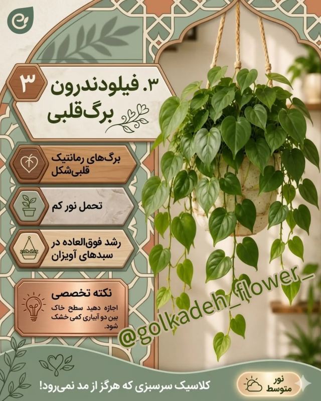 بهترین گیاهان برای گلدان های آویز / زیبا ، خاص و سازگار