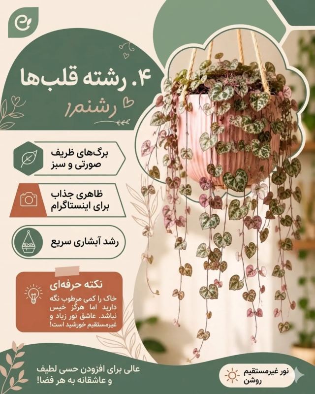 بهترین گیاهان برای گلدان های آویز / زیبا ، خاص و سازگار