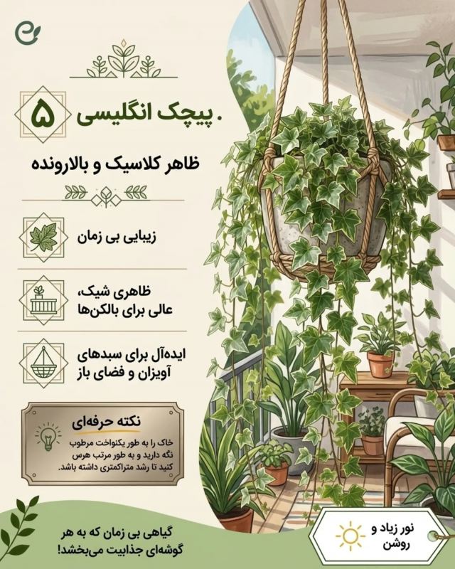 بهترین گیاهان برای گلدان های آویز / زیبا ، خاص و سازگار