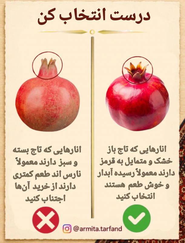 راهنمای انتخاب میوه های پاییزی و زمستانی؛ انار، پرتقال و خرمالو
