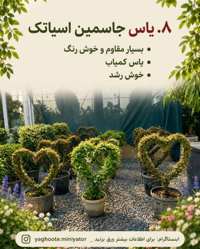معرفی چندین بالارونده و پیچک که حصار و دیوار شما را سریع می پوشانند