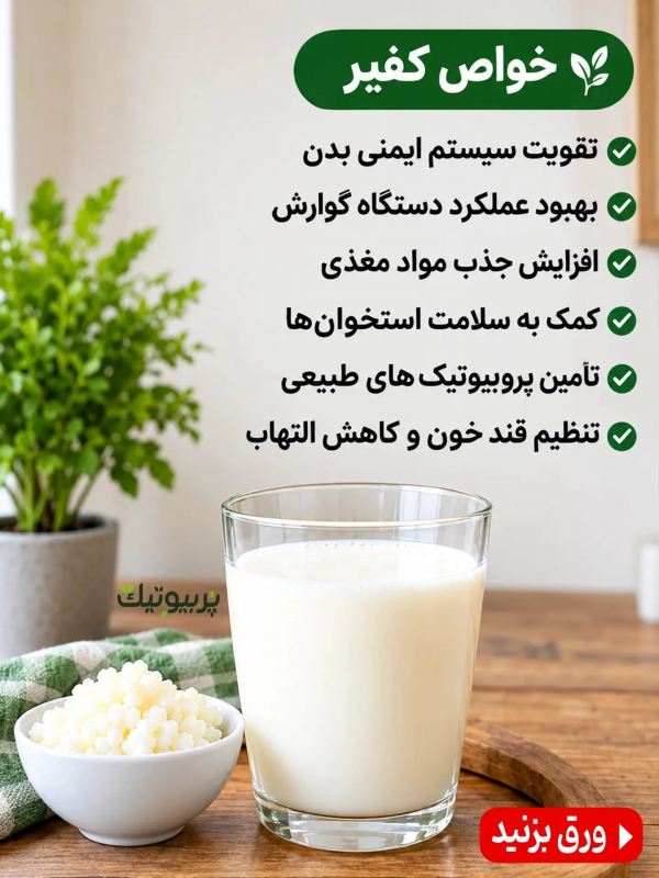 طرز تهیه یک قارچ کفیر پربیوتیک به همراه خواص شگفت انگیز آن