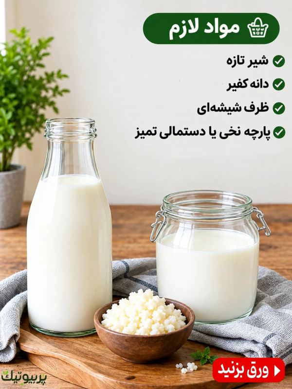 طرز تهیه یک قارچ کفیر پربیوتیک به همراه خواص شگفت انگیز آن