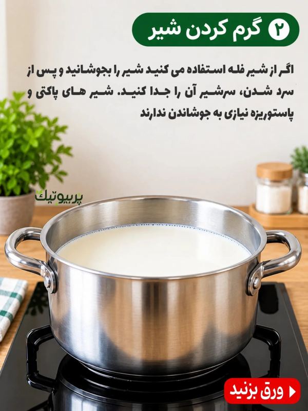 طرز تهیه یک قارچ کفیر پربیوتیک به همراه خواص شگفت انگیز آن