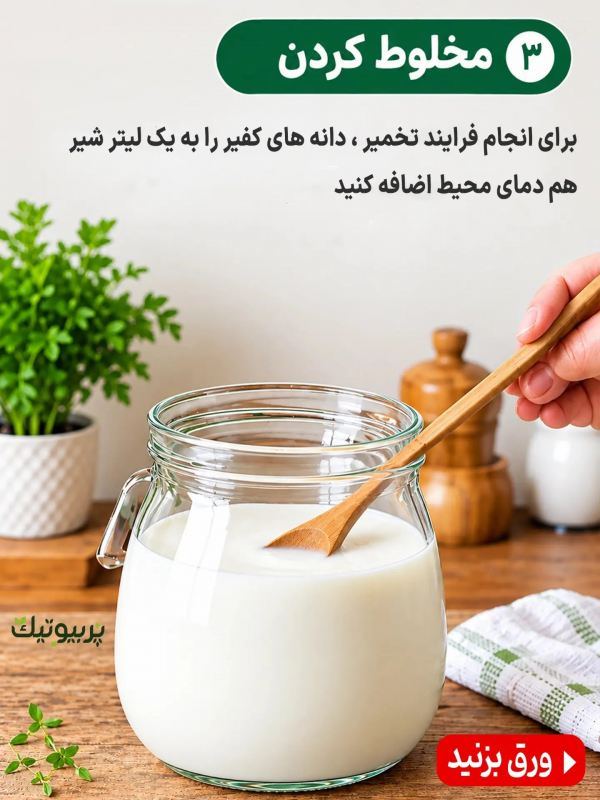طرز تهیه یک قارچ کفیر پربیوتیک به همراه خواص شگفت انگیز آن