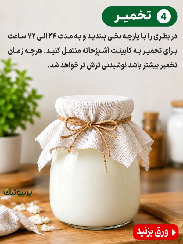 طرز تهیه یک قارچ کفیر پربیوتیک به همراه خواص شگفت انگیز آن