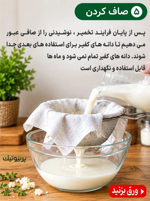 طرز تهیه یک قارچ کفیر پربیوتیک به همراه خواص شگفت انگیز آن