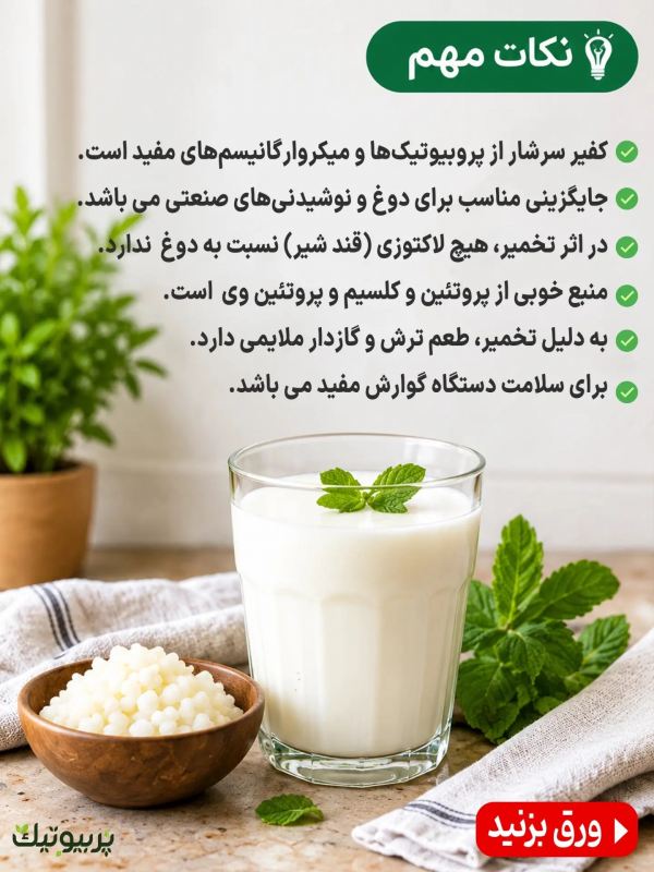 طرز تهیه یک قارچ کفیر پربیوتیک به همراه خواص شگفت انگیز آن