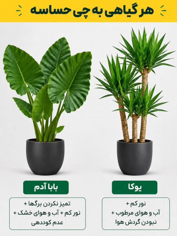 هر گیاهی به چی حساسه ؟؟