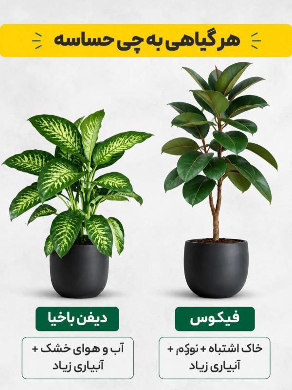 هر گیاهی به چی حساسه ؟؟