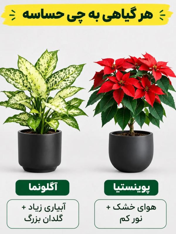 هر گیاهی به چی حساسه ؟؟