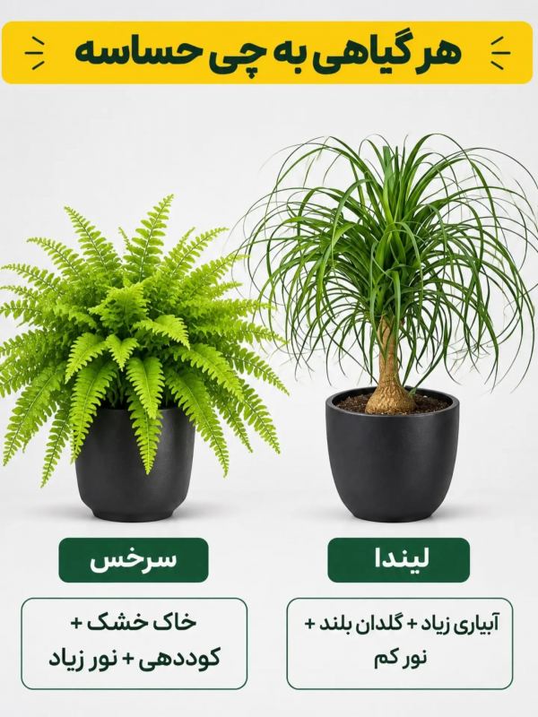 هر گیاهی به چی حساسه ؟؟