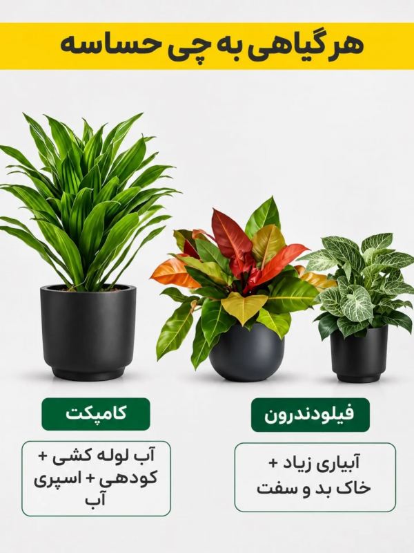 هر گیاهی به چی حساسه ؟؟