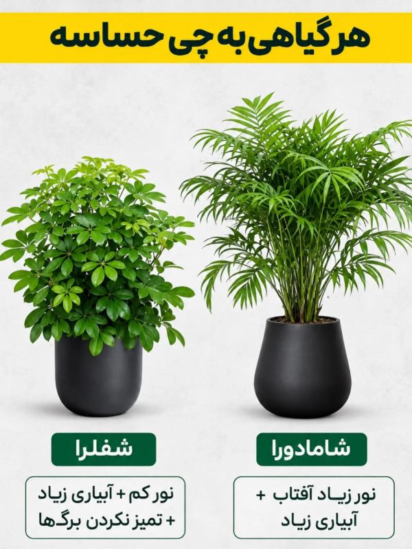 هر گیاهی به چی حساسه ؟؟