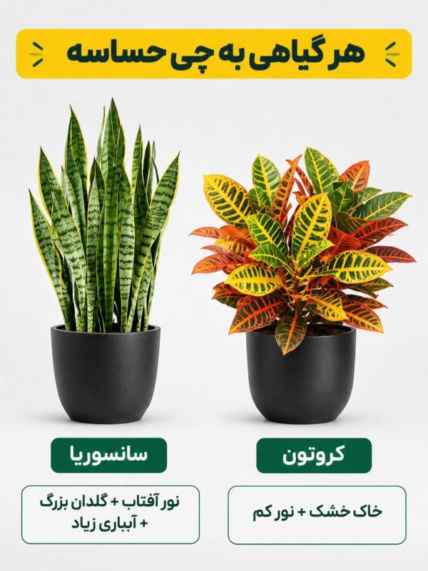 هر گیاهی به چی حساسه ؟؟