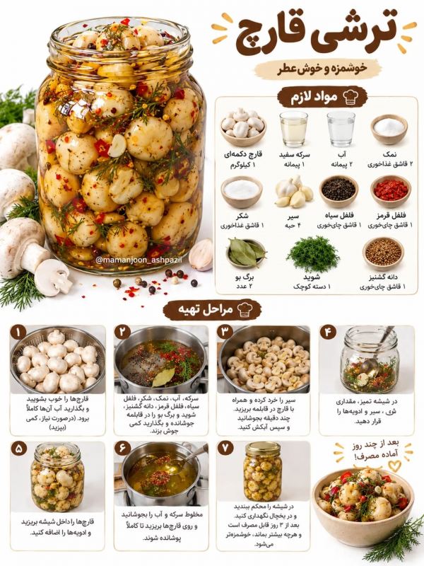 طرز تهیه ۴ مدل ترشی که قطعا تا حالا نخورده اید !!