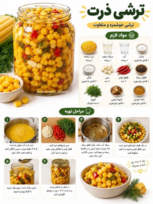 طرز تهیه ۴ مدل ترشی که قطعا تا حالا نخورده اید !!