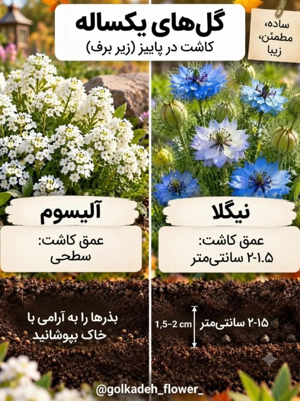 این گل ها را در پاییز بکارید تا باغچه تان در بهار شکوفا شود