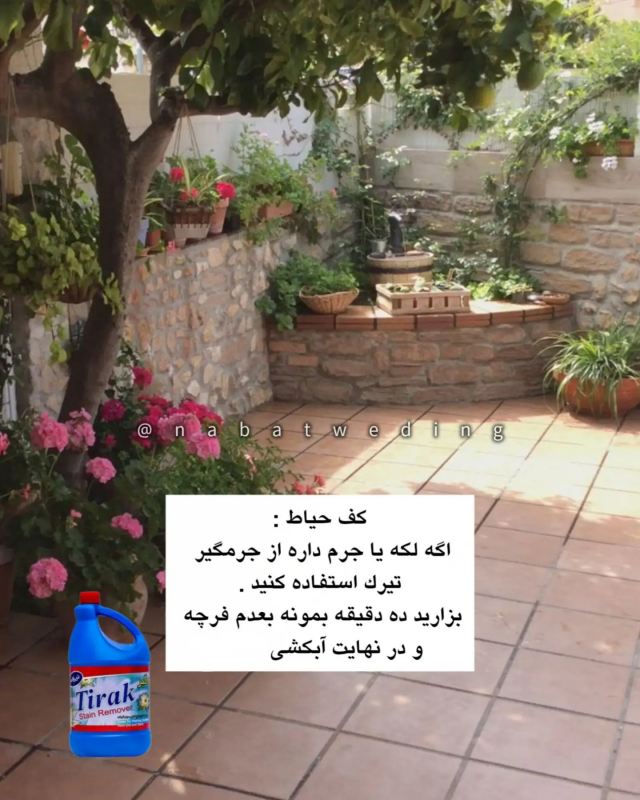 کجا رو با چی تمیز کنیم ؟ با روش های کاربردی و ساده
