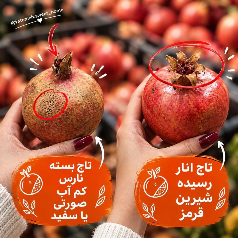 راهنمای انتخاب بهترین میوه و صیفی جات؛ با چند نکته ساده
