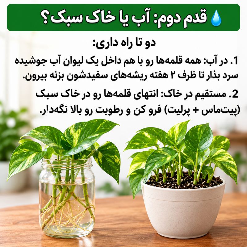 راز تکثیر پتوس پرپشت: ترفند داشتن گلدان انفجاری و پرپشت