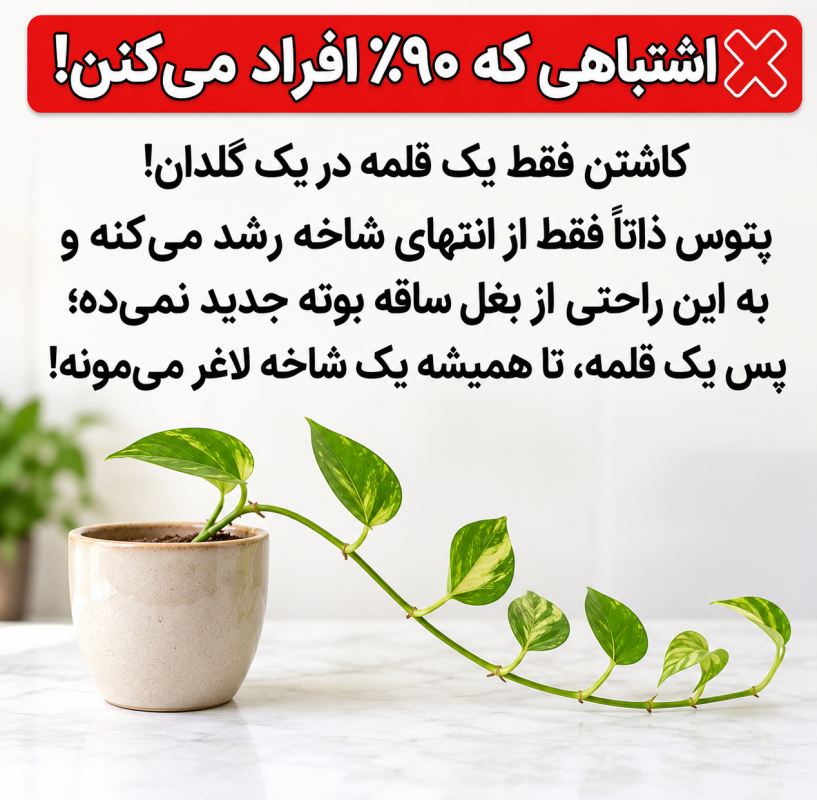 راز تکثیر پتوس پرپشت: ترفند داشتن گلدان انفجاری و پرپشت