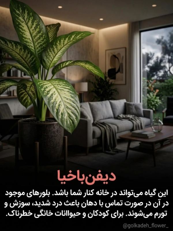 خطرناک ترین گیاهانی که نباید به آنها دست زد !!