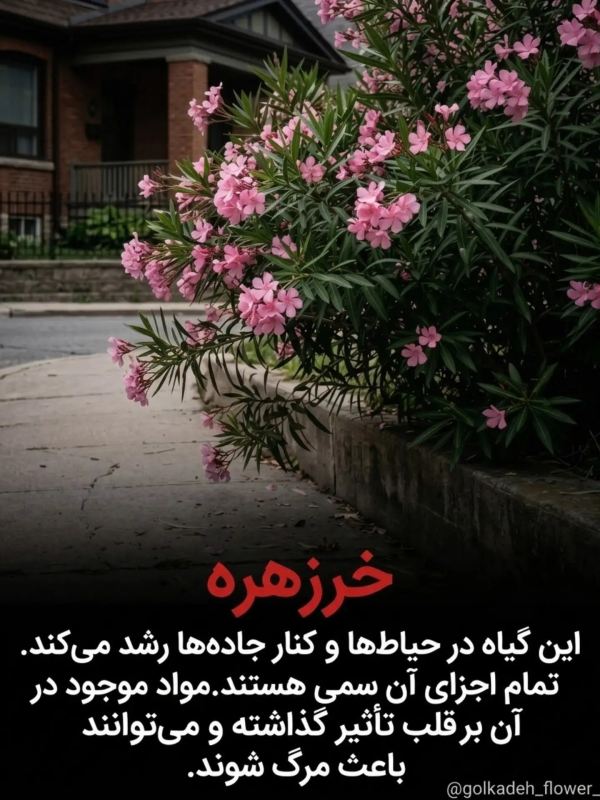خطرناک ترین گیاهانی که نباید به آنها دست زد !!
