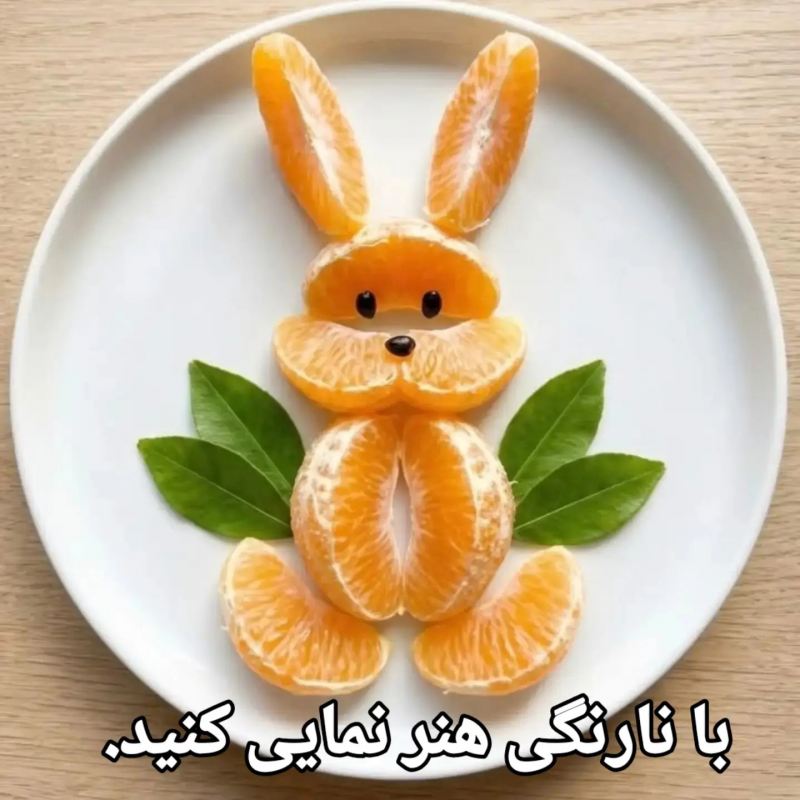 چند ایده شگفت انگیز برای تزیین نارنگی به شکل های مختلف