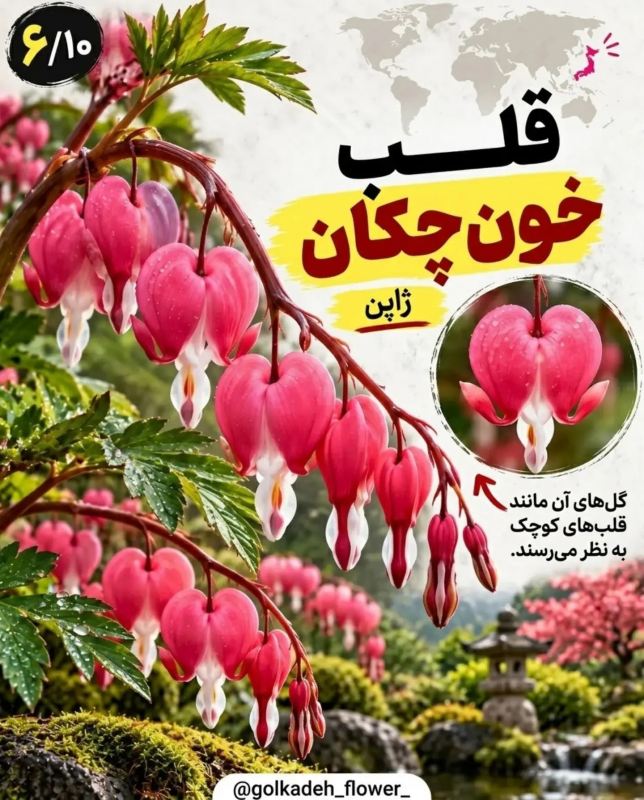 ۹ گیاه عجیب جهان که باور نمی کنید واقعی باشند! از گل میمون تا گیاه گوشت خوار