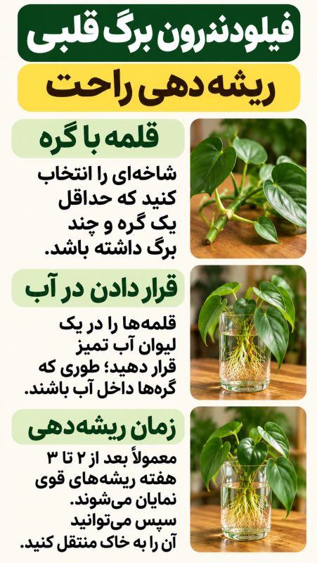 ۷ گیاه زیبا برای نگهداری در آب (مناسب تزیین خانه) راهنمای ساده نگهداری در آب