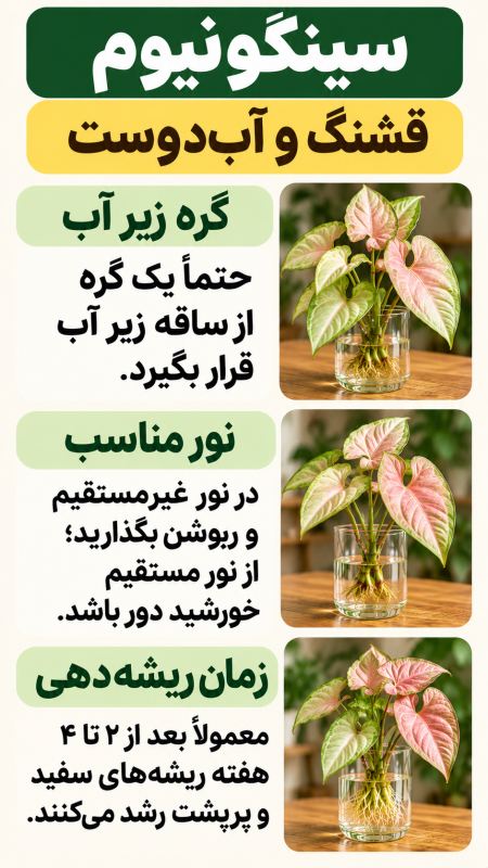 ۷ گیاه زیبا برای نگهداری در آب (مناسب تزیین خانه) راهنمای ساده نگهداری در آب