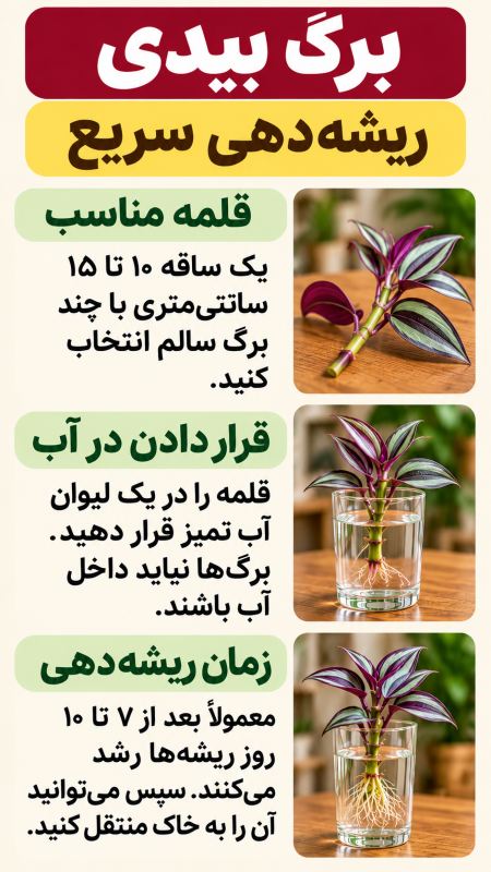 ۷ گیاه زیبا برای نگهداری در آب (مناسب تزیین خانه) راهنمای ساده نگهداری در آب