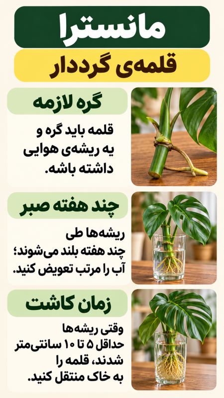 ۷ گیاه زیبا برای نگهداری در آب (مناسب تزیین خانه) راهنمای ساده نگهداری در آب
