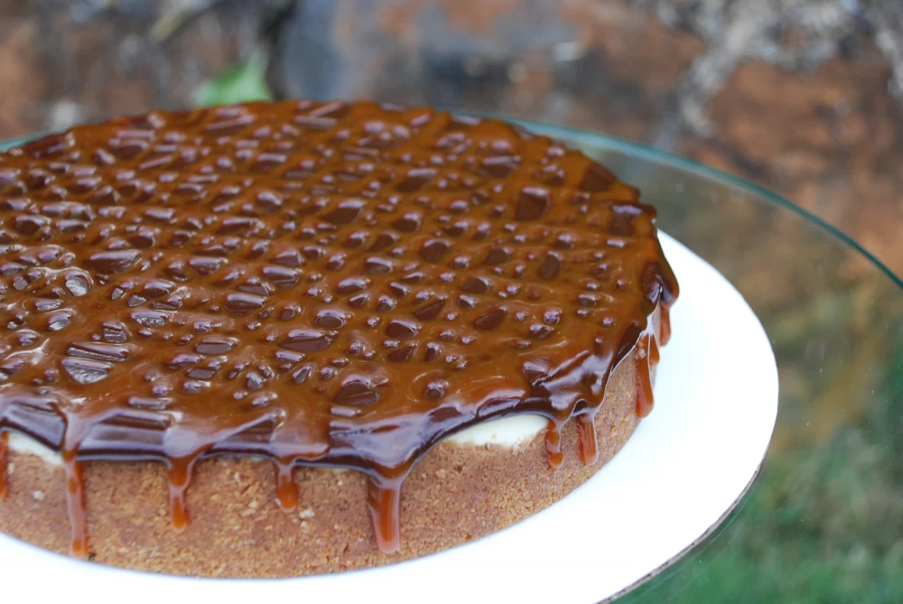 طرز تهیه کیک سه شیر شکلاتی