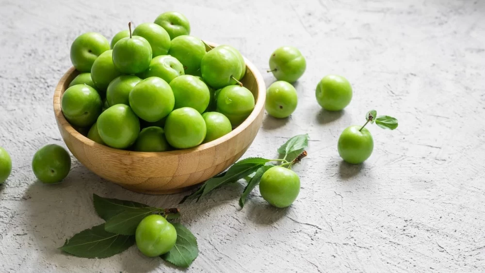 خشک کردن گوجه سبز